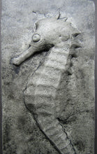 Load image into Gallery viewer, Large Seahorse Hand Made Concrete Sculpture Designer Tile
