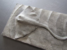 Load image into Gallery viewer, Manta Ray Concrete Hand Made Art Tile
