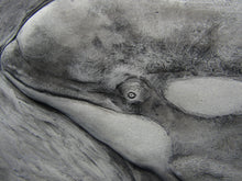 Load image into Gallery viewer, Orca Whale Hand Made Relief Sculpture

