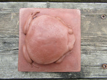 Load image into Gallery viewer, Tomato Frog Concrete Hand Made  Artisan Decorator Sculpture Tile
