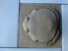 Load image into Gallery viewer, Tomato Frog Concrete Hand Made  Artisan Decorator Sculpture Tile
