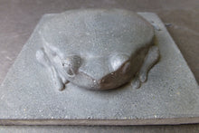 Load image into Gallery viewer, Tomato Frog Concrete Hand Made  Artisan Decorator Sculpture Tile
