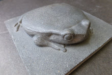 Load image into Gallery viewer, Tomato Frog Concrete Hand Made  Artisan Decorator Sculpture Tile
