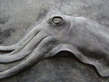 Load image into Gallery viewer, Cuttlefish Concrete Sculpture Decorative Accent Tile
