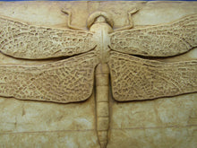 Load image into Gallery viewer, Dragonfly Concrete 12 x 6 Bas Relief Art Sculpture Tile
