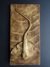 Load image into Gallery viewer, Sting Ray Sculpture Art Gift Nature Tile
